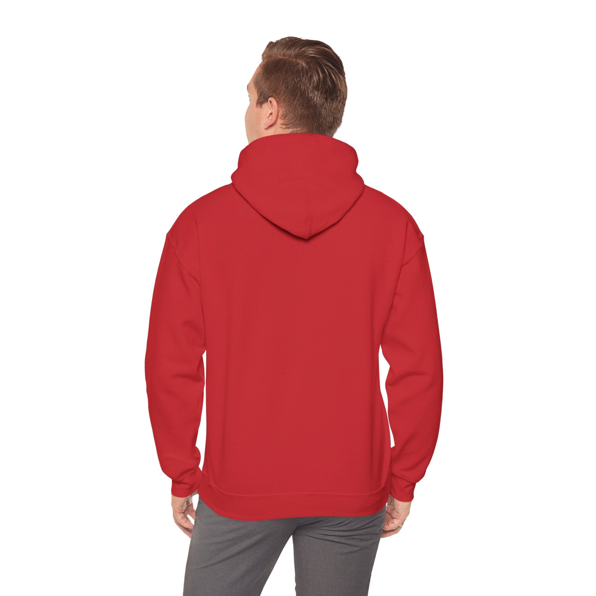 Women's motivational script hoodie product photo