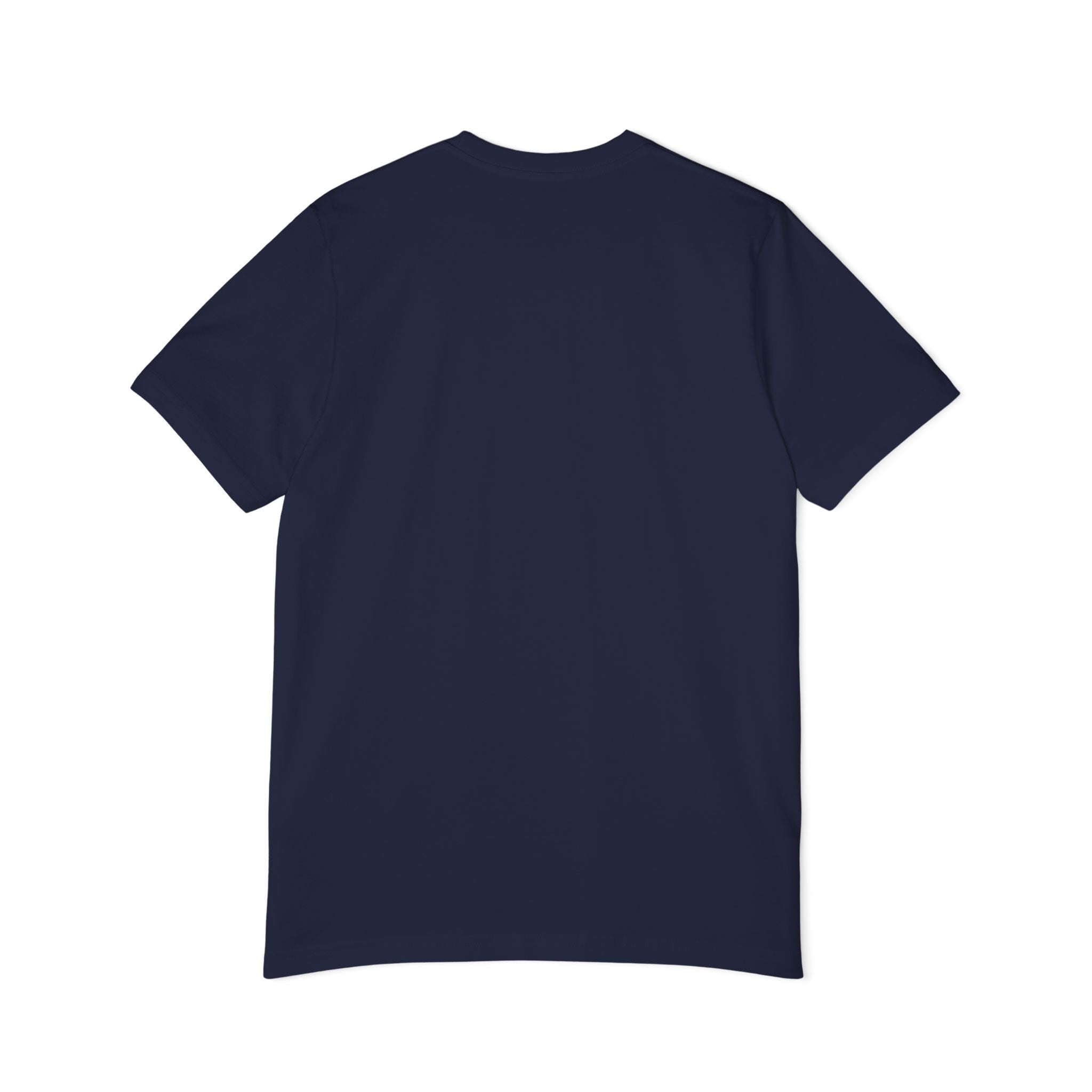 Rise & Roam Eagle T-Shirt — Vintage Americana Graphic Tee
